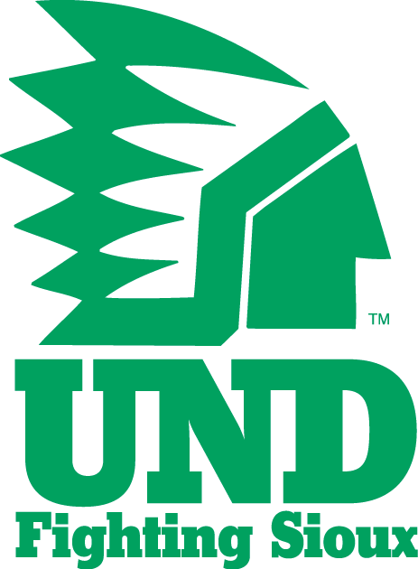 North Dakota Fighting Hawks 1976-1999 Alternate Logo v2 diy DTF decal sticker